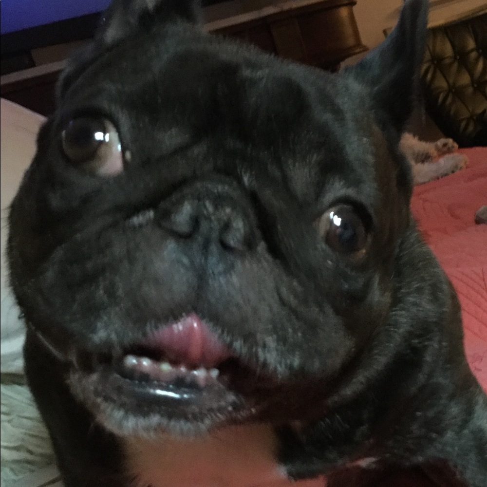 Meet your Posher, Maria